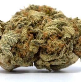 White Widow Marijuana Strain For Sale Online In Santa Clara County California