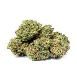 Purchasing Sour Apple Marijuana Strain Online In Cairns Australia