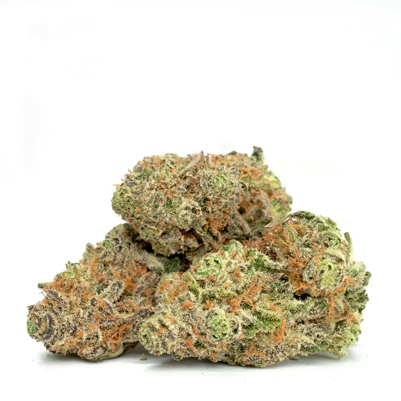 Kaufen Sie die Cannabissorte Tangerine Haze online in Berlin Germany