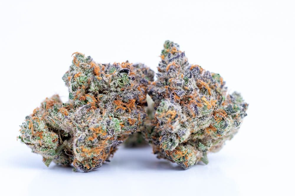 Purchasing Zookies Marijuana Strain Online In Bristol UK