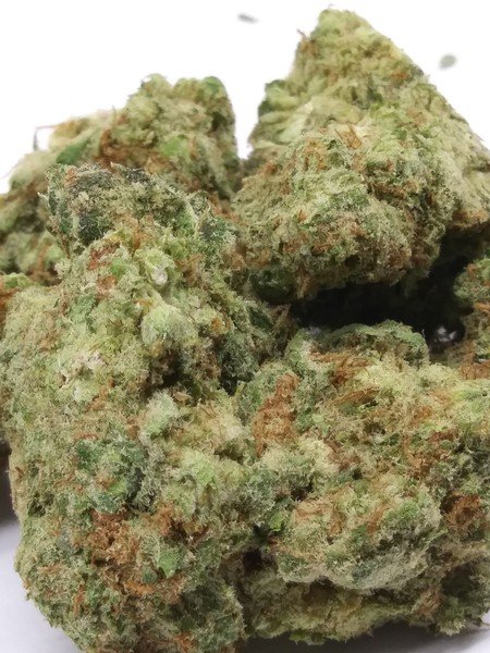 Buying Orange Cookies Marijuana Strain Online In Oregon