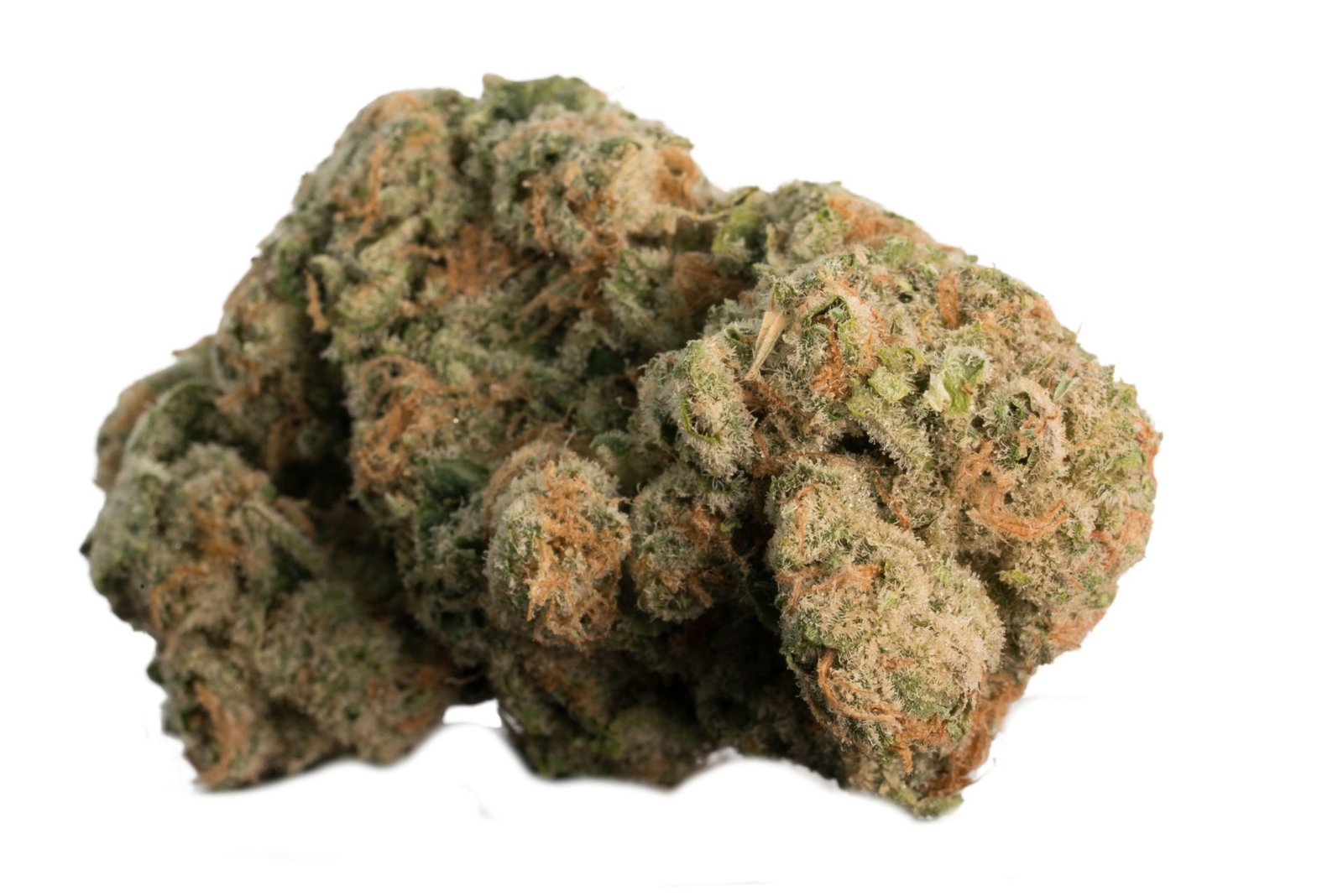 Buy Jager cannabis strain online in Zurich Switzerland