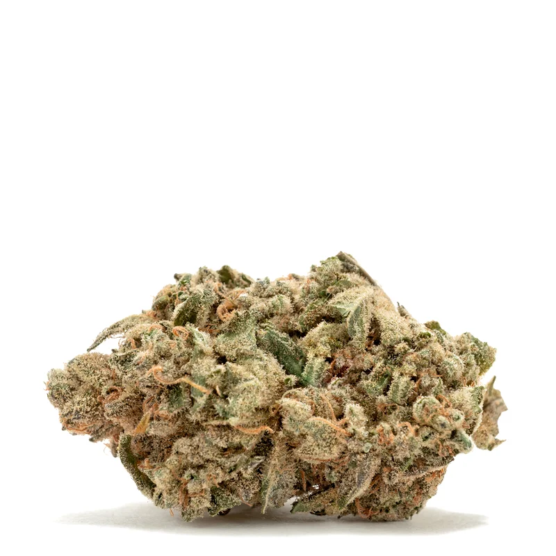 Purchasing Super Lemon Haze Marijuana Strain Online In Chicago