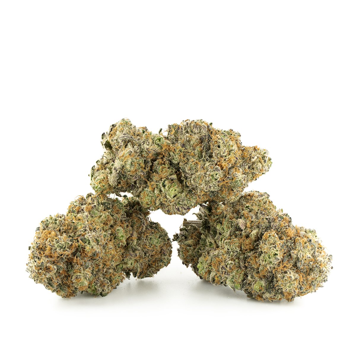 Slurricane cannabis strain for sale in Amsterdam Netherlands