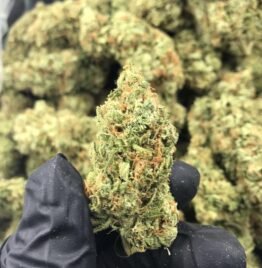 Buy skywalker weed strain, skywalker og strain, skywalker og weed strain leafly, skywalker og leafly strain, USA, UK, Canada, Australia